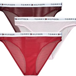 3 PACK MESH BIKINI X3