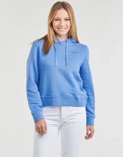 1985 RLX MINI CORP LOGOHOODIE