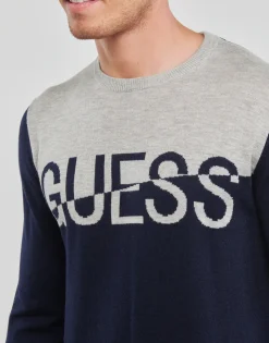 ALEX LS CN LOGO SWEATER