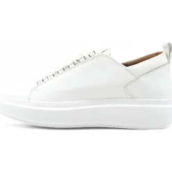 ASBBWYM-2311-TWT-PE25