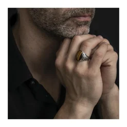 Bague Homme Symbol Argent Pierre œil De Tigre
