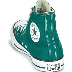 CHUCK TAYLOR ALL STAR FALL TONE