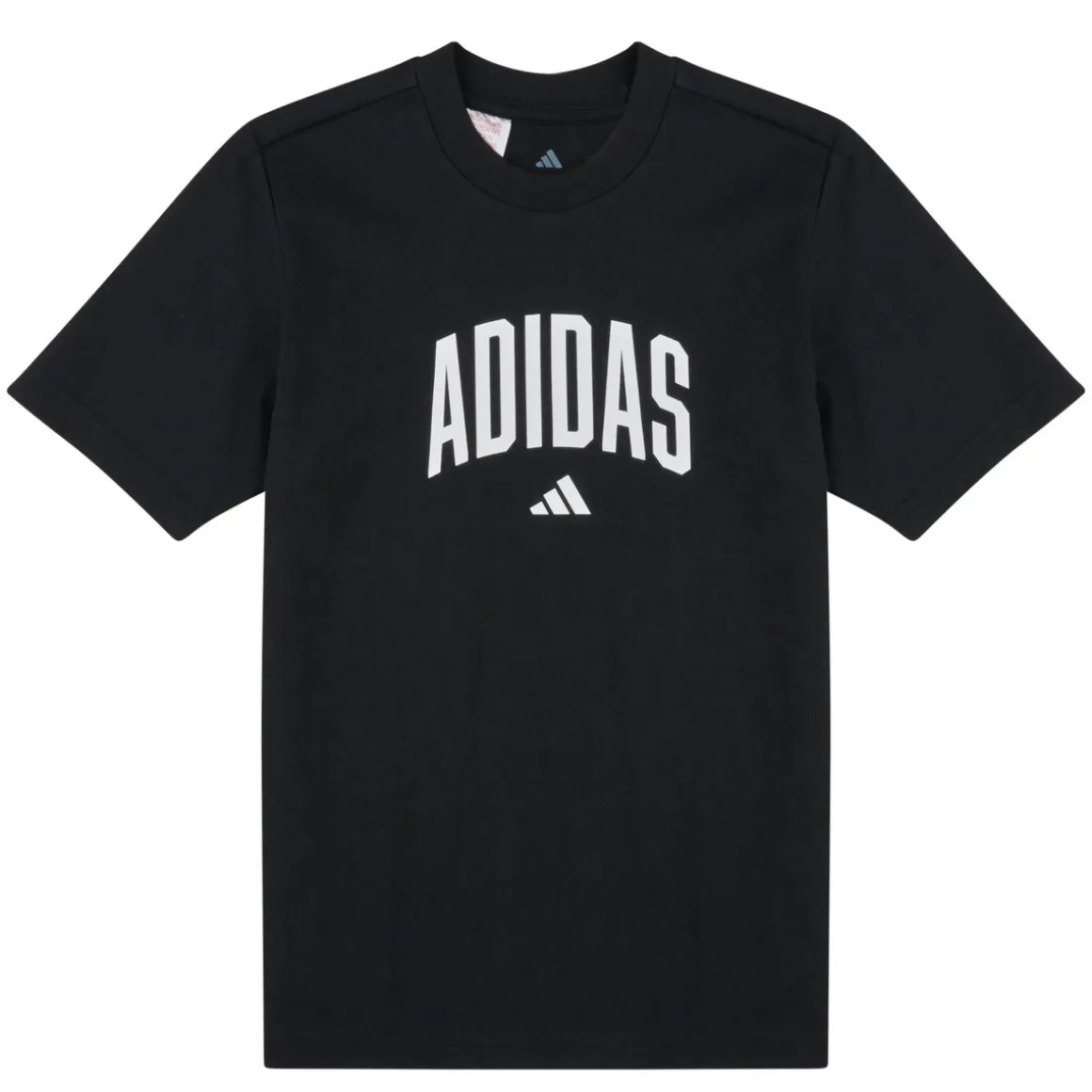 Collegiate Graphic T-Shirt Kids