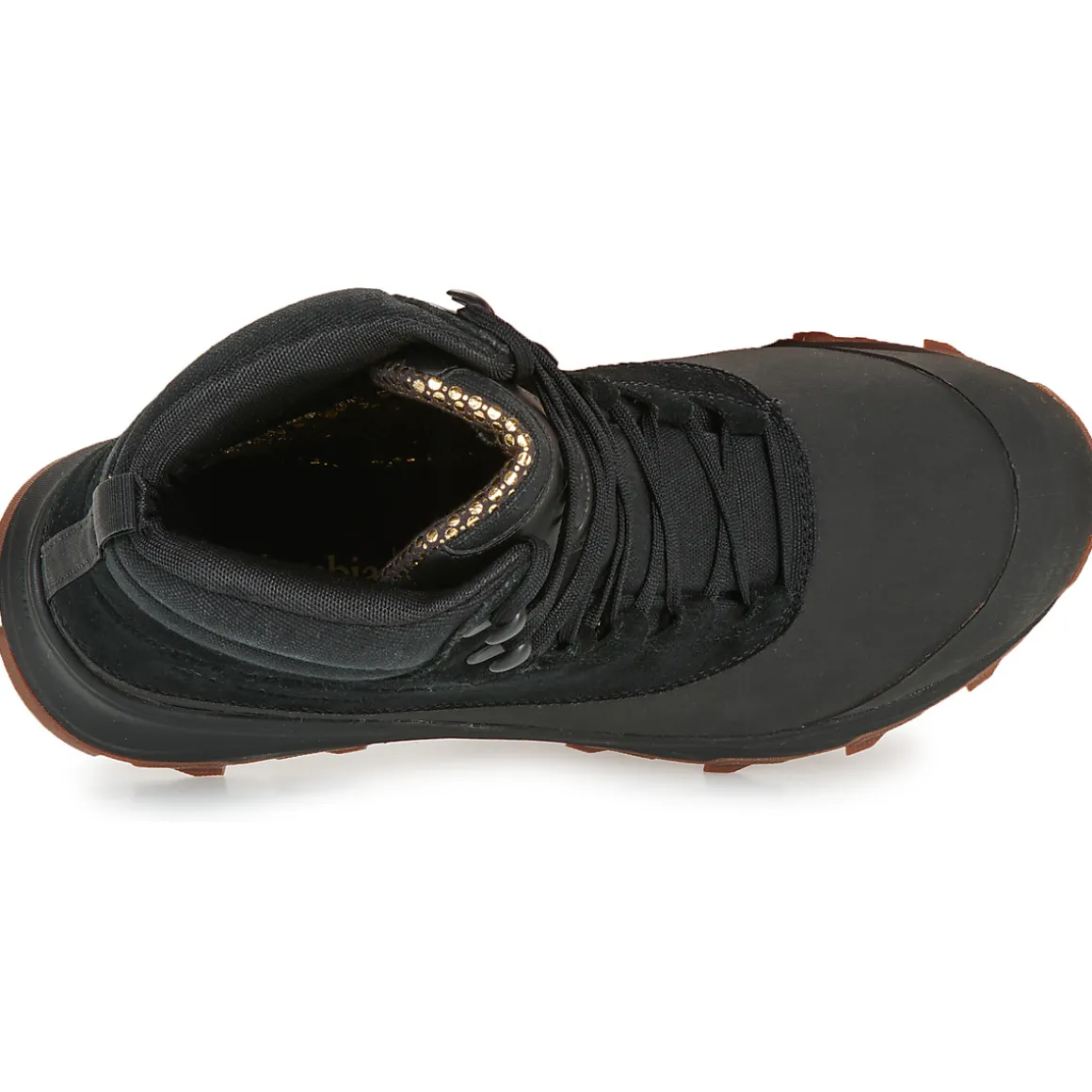 EXPEDITIONIST SHIELD