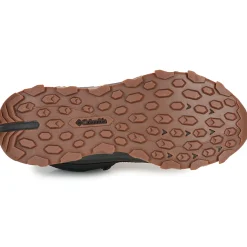 EXPEDITIONIST SHIELD