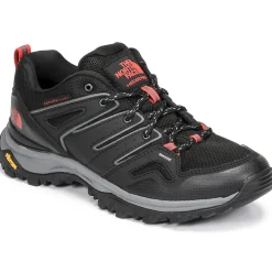 HEDGEHOG FUTURELIGHT