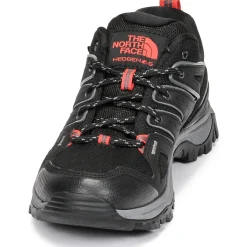 HEDGEHOG FUTURELIGHT