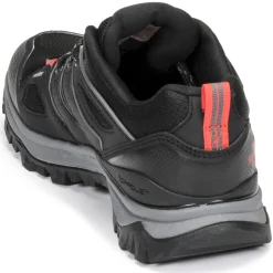 HEDGEHOG FUTURELIGHT