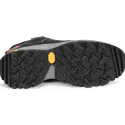 HEDGEHOG FUTURELIGHT