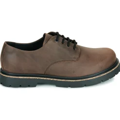 Highwood Lace Low LEOI Habana