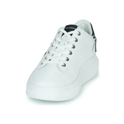 KAPRI WHIPSTITCH LO LACE