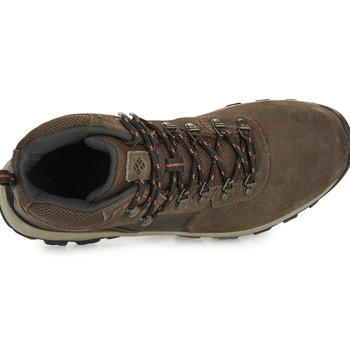 NEWTON RIDGE PLUS II SUEDE WP