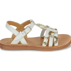 PLAGETTE MULTI DAISY