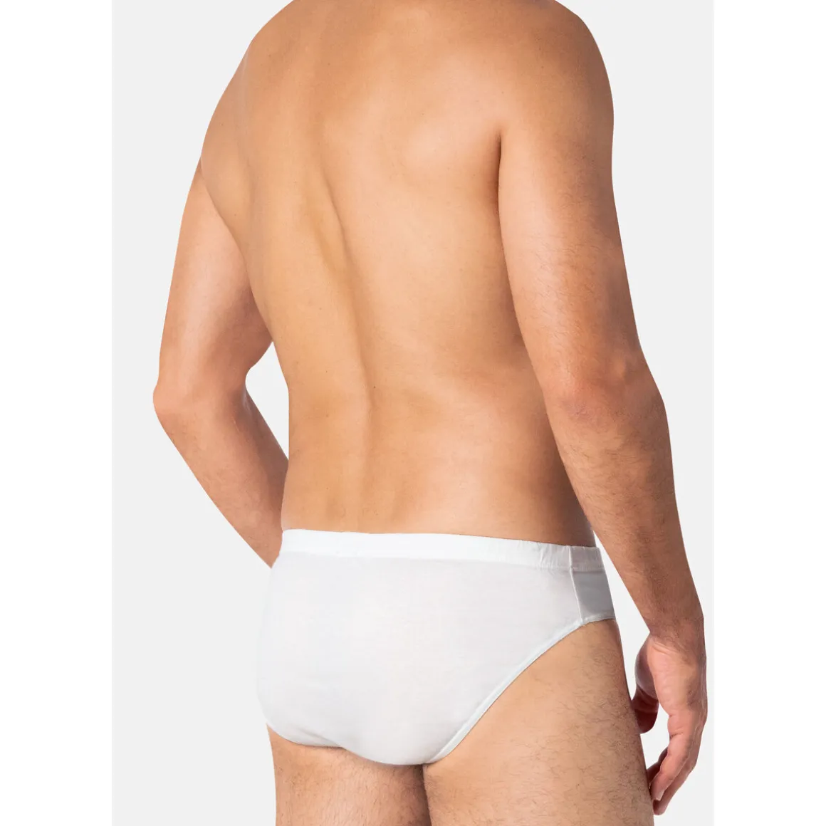 Slip taille basse COTON D'EGYPTE