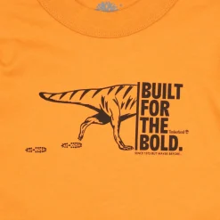 TEE-SHIRT MANCHES LONGUES T60301