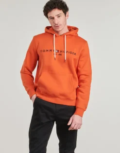 TOMMY LOGO HOODY