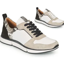 VANILLE V5 PYTHON ICE