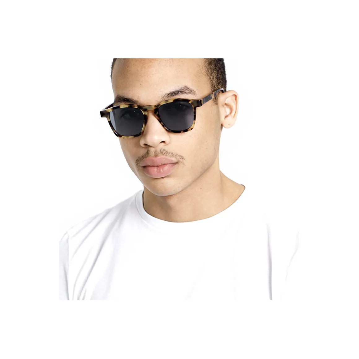 V8F Unico Cheetah Lunettes de soleil, Havana/Bleu, 50 mm