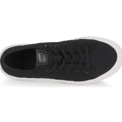 W ALAMEDA GRAPHIC KNIT