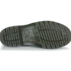 2976 BLACK AMBASSADOR