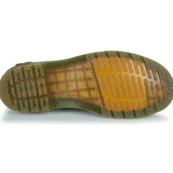 2976 CASHEW AMBASADOR