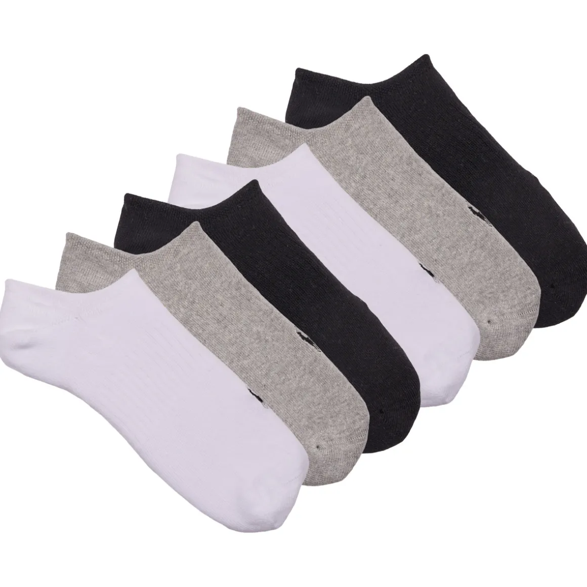 6 PACK SPORT NO SHOW-PERFORMANCE-NO SHOW-6 PACK