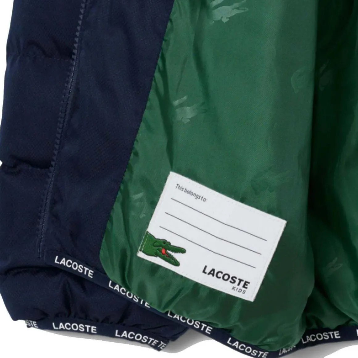 Blousons Lacoste 10150502302035BLU_NAVY