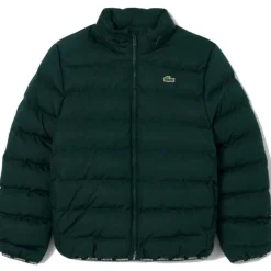 Blousons Lacoste 10150500270419VERDE