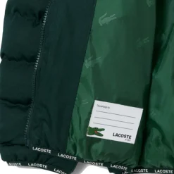Blousons Lacoste 10150500270419VERDE