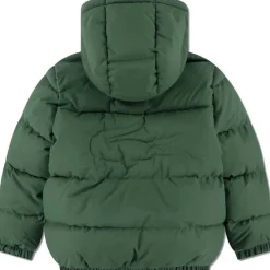 Blousons Lacoste 10150503612755VERDE