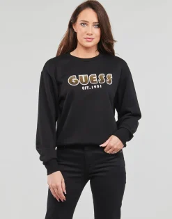 CN SHADED LOGO SWEATSHIRT