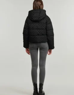 DAISY PUFFER LOGO FLOCK