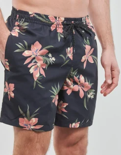 EVERYDAY MIX VOLLEY 17