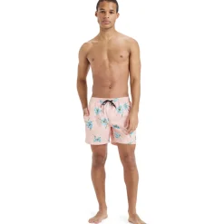 Everyday Straight 15