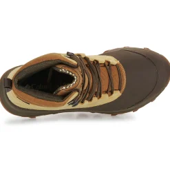 EXPEDITIONIST SHIELD