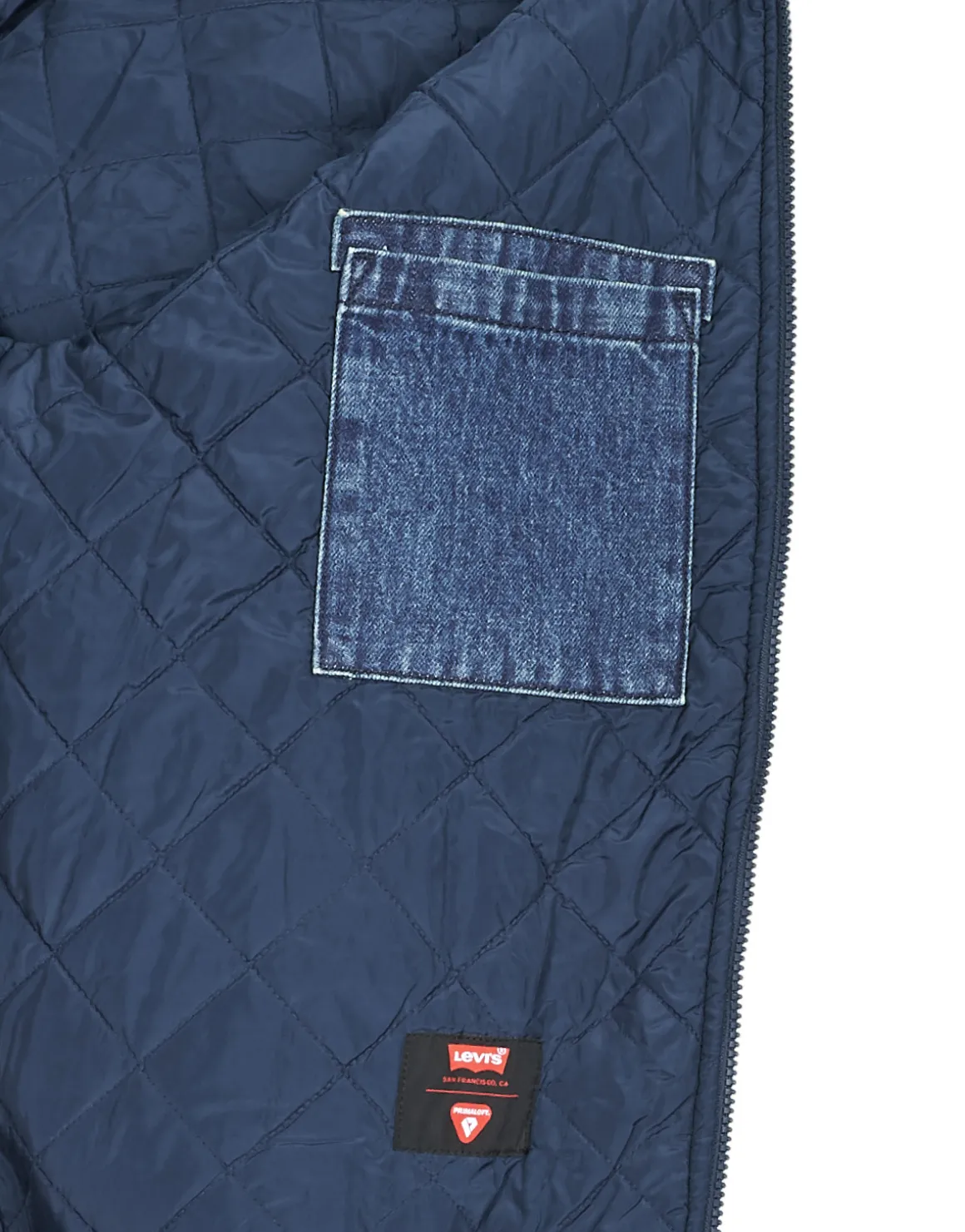 FILBERT FLIGHT JACKET