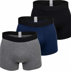 Homme Caleçon Paquet de 3 Tonal Pack 2 3P