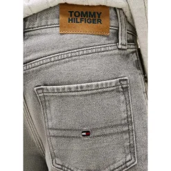 Jeans Tommy Hilfiger 10096874684755Greydenim