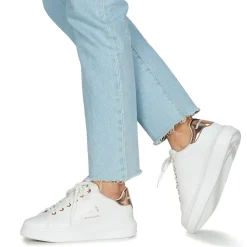 KAPRI Maison Karl Lace