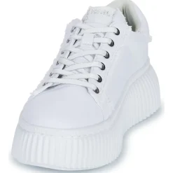 KREEPER LO Signia Mix Lo Lace