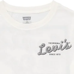 LVB PIZZA DELIVERING COWBOY TE