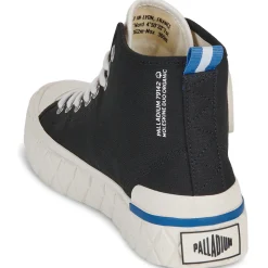 PALLA ACE CHUKKA ORG