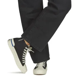 PALLA ACE CHUKKA ORG