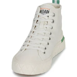 PALLA ACE CHUKKA ORG