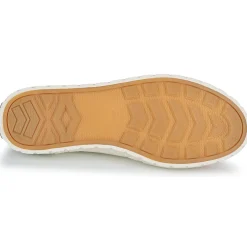 PALLA ACE CHUKKA ORG