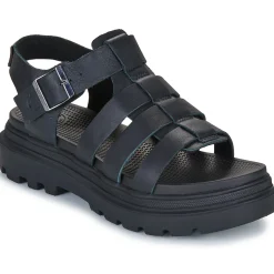 PALLACRUISE FISHERMAN