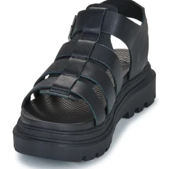 PALLACRUISE FISHERMAN