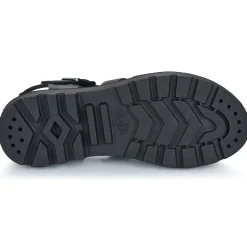 PALLACRUISE FISHERMAN