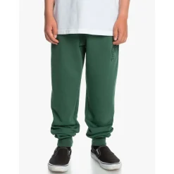 Pantalons cargo Quiksilver 9563758133587Verde