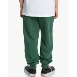 Pantalons cargo Quiksilver 9563758133587Verde